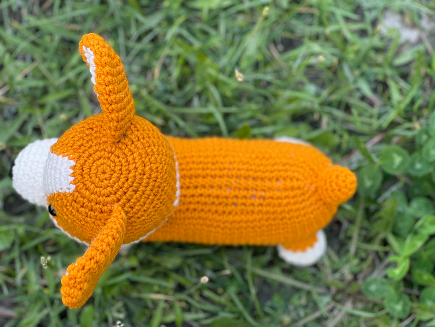 Poppy the Corgi Dog Crochet Pattern - NEW
