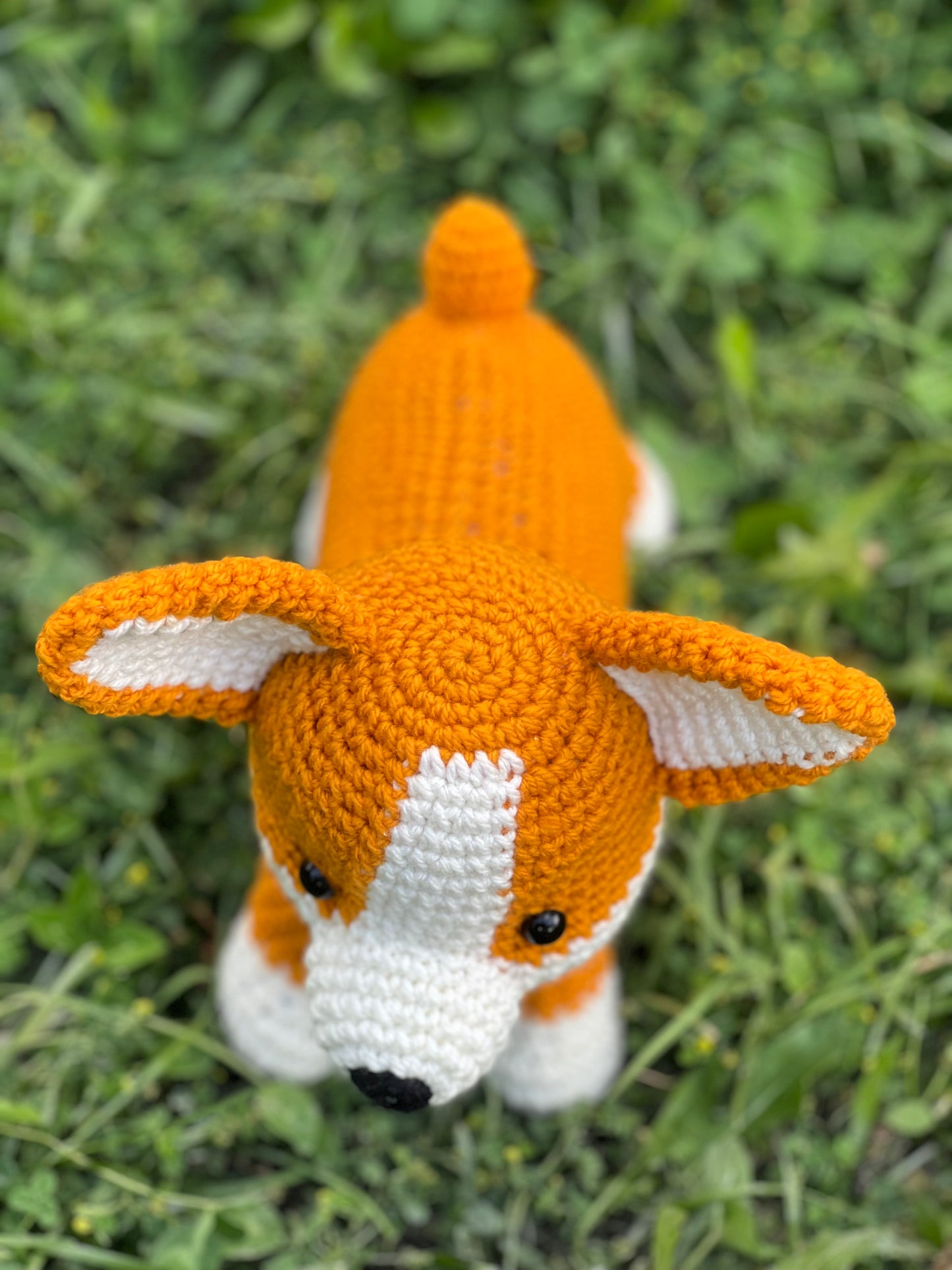 Poppy the Corgi Dog Crochet Pattern - NEW