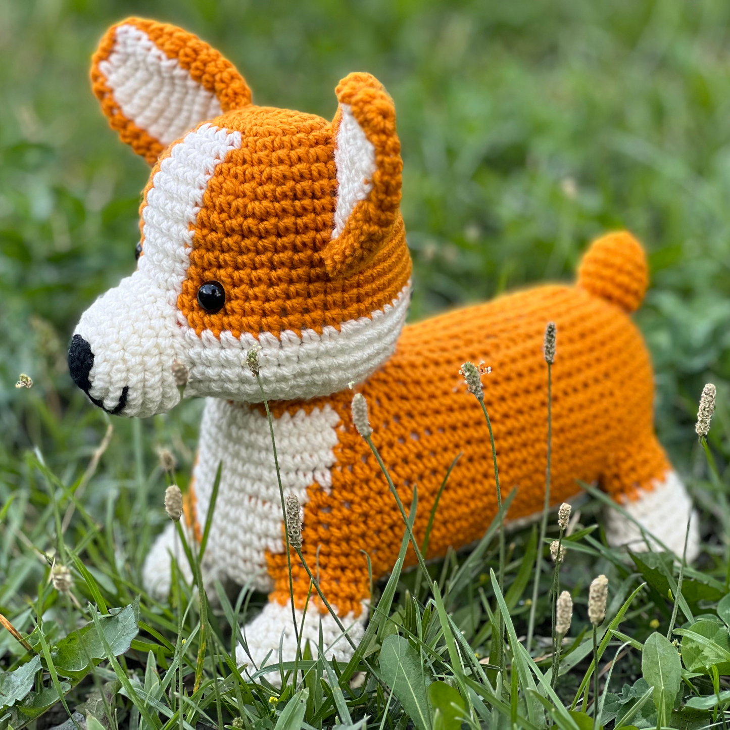 Poppy the Corgi Dog Crochet Pattern - NEW